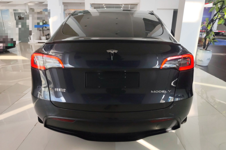 特斯拉 Model Y 2024款 长续航全轮驱动版车身外观6004