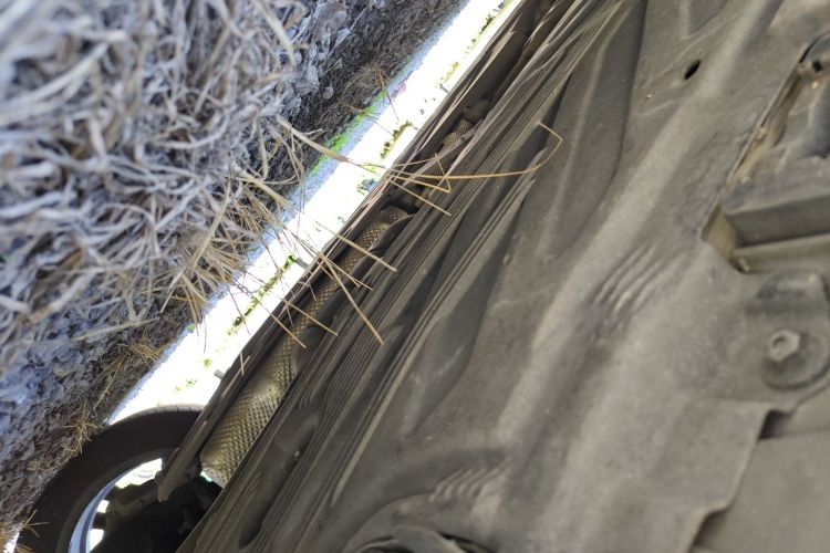 奔驰C级 2019款 C 260 运动版局部细节9003