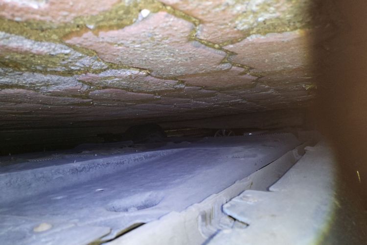 大众 高尔夫 2012款 1.4TSI 蓝驱版局部细节9001