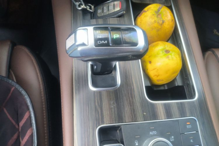 哈弗H9 2017款 2.0T 汽油四驱尊享型 5座中控内饰18