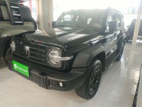 坦克300 2024款 2.0T 挑战者