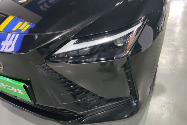 雷克萨斯RZ 2023款 450e 四驱纵享版局部细节36