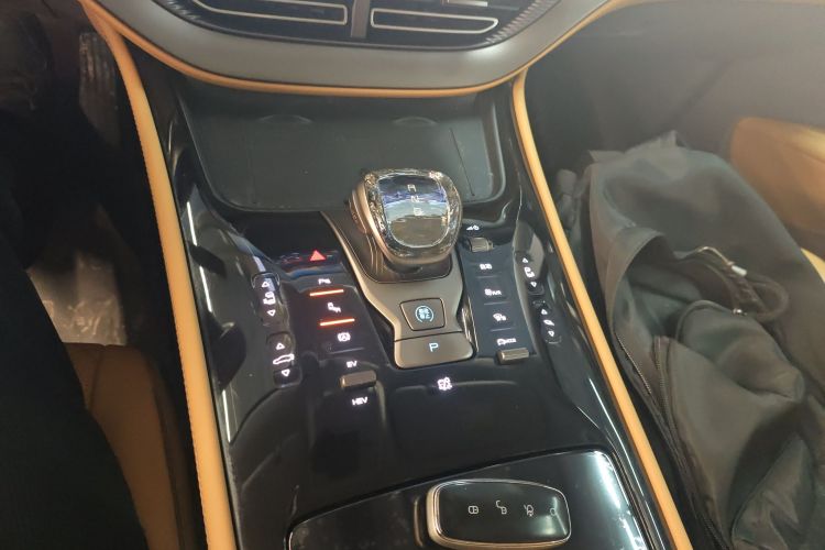 腾势D9 2022款 DM-i 970 四驱尊荣型局部细节18