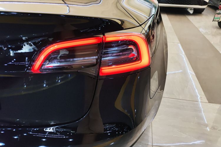 特斯拉 Model 3(进口) 2019款 长续航后驱版车身外观6006