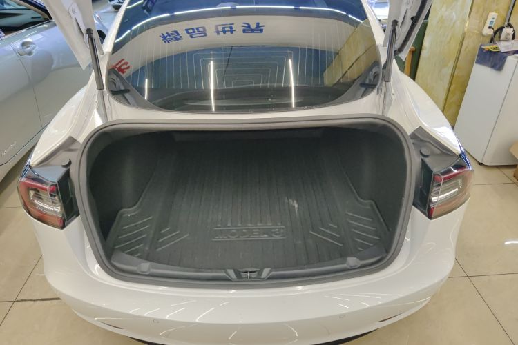 特斯拉 Model 3(进口) 2019款 标准续航后驱升级版(60度)机舱底盘23