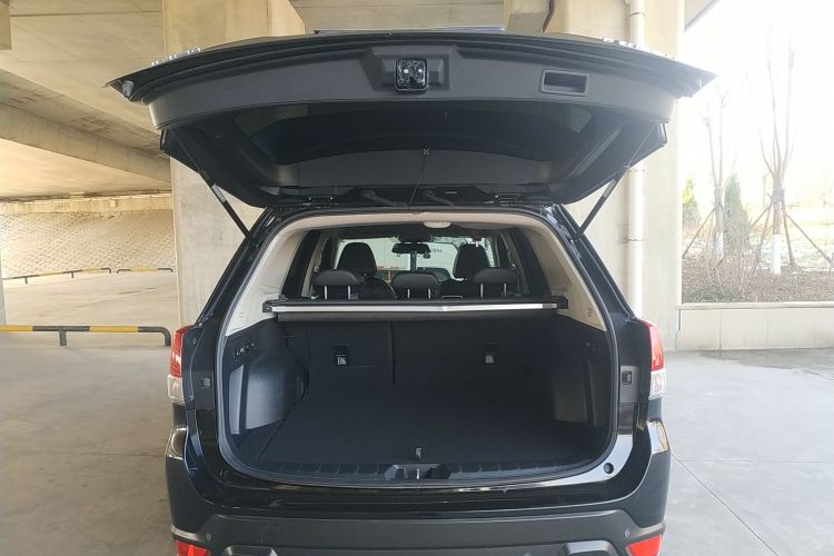 斯巴鲁 森林人 2020款 2.0i 豪华版机舱底盘23