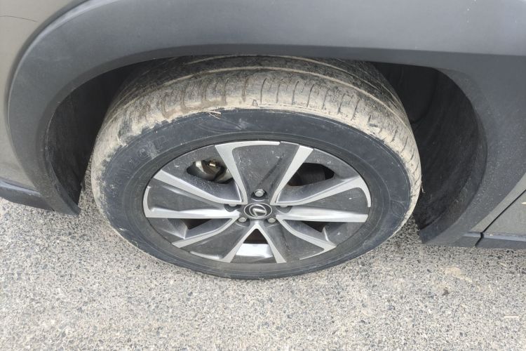 雷克萨斯UX新能源 2020款 300e 纯·悦版车身外观6007