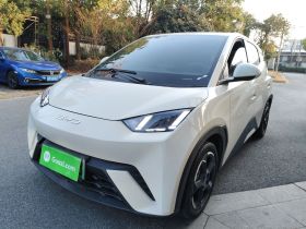 比亚迪 海鸥 2023款 自由版