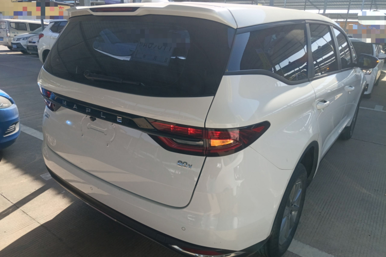 睿蓝汽车 枫叶80V 2021款 易行版 三元锂车身外观7