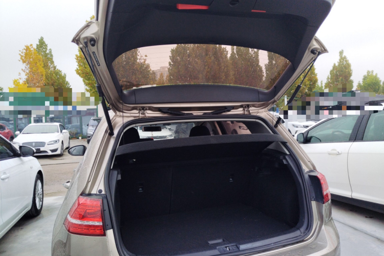 大众 高尔夫 2015款 1.6L 自动舒适型机舱底盘23