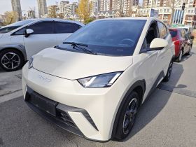 比亚迪 海鸥 2023款 自由版