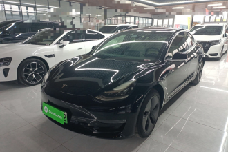 特斯拉 Model 3(进口) 2019款 长续航后驱版