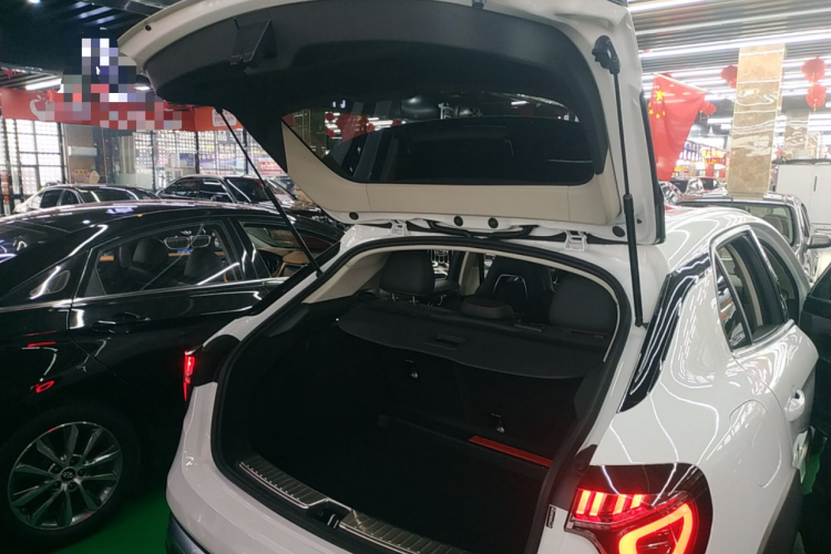 领克02 2019款 高能版 2.0T 自动两驱劲Pro版 国VI机舱底盘23