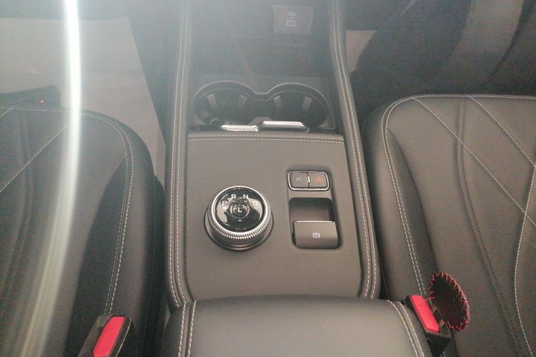 福特电马 2021款 跃世后驱版(标准续航)中控内饰18