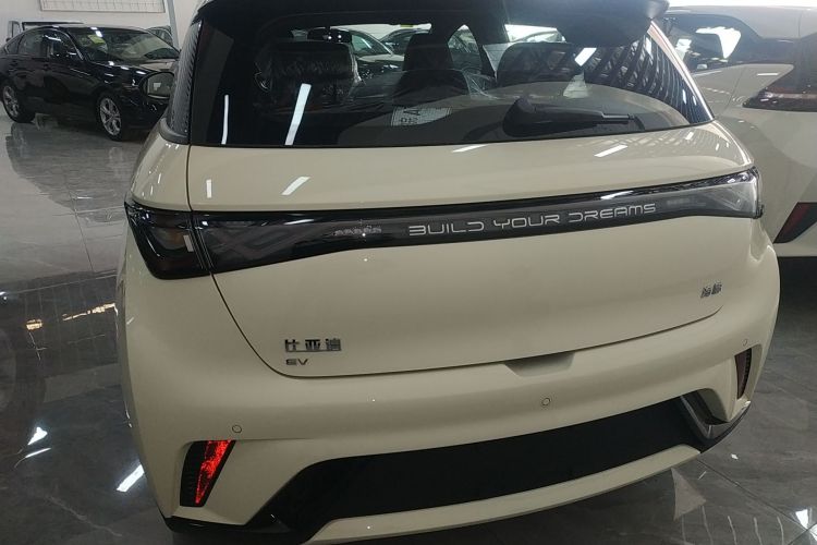 比亚迪 海豚 2025款 420km 自由版车身外观6004