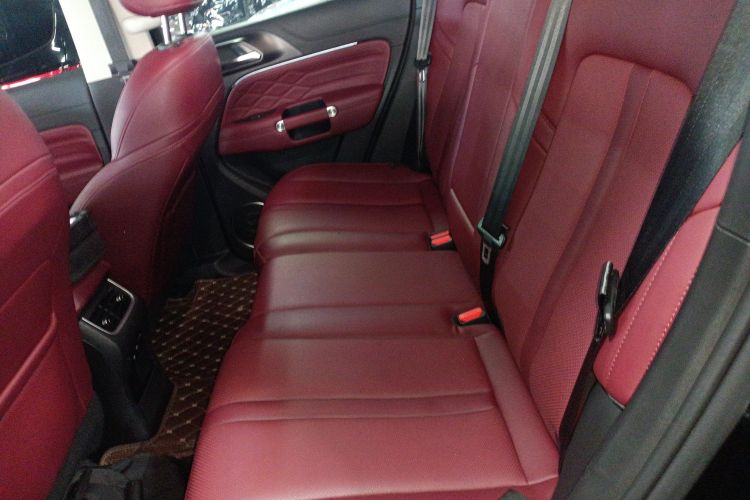 坦克300 2024款 2.0T 穿越者中控内饰21