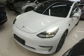 特斯拉 Model 3 2021款 Performance高性能全轮驱动版