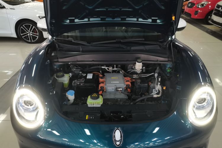 欧拉好猫 2021款 400km标准续航 雅典娜版 磷酸铁锂局部细节24