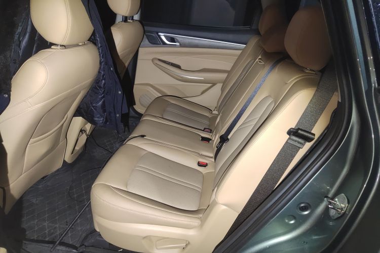 蓝电E5 2023款 1.5L DE-i 100KM畅享型 7座中控内饰21