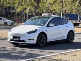 特斯拉 Model Y 2022款 Performance高性能全轮驱动版