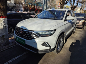 捷达VS5 2022款 280TSI 自动进取型Pro