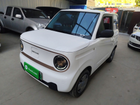 吉利银河 2023款 熊猫mini 200km 耐力熊