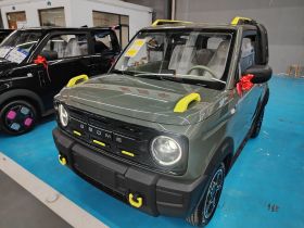 吉利银河 2025款 210km 熊猫骑士