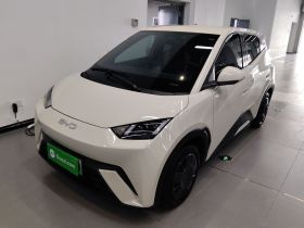 比亚迪 海鸥 2024款 荣耀版 305km 活力版