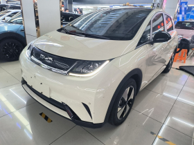 比亚迪 海豚 2023款 420km 时尚版