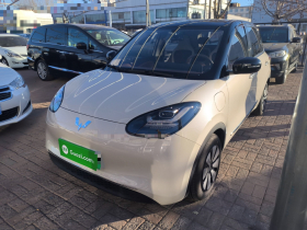 五菱汽车 五菱缤果 2025款 333km 灵犀互联款