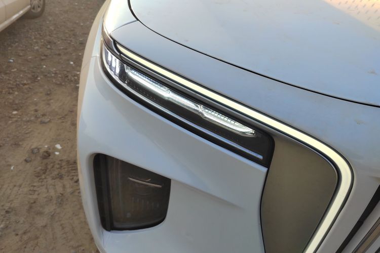 红旗E-HS9 2021款 460km 旗享版 六座车身外观8