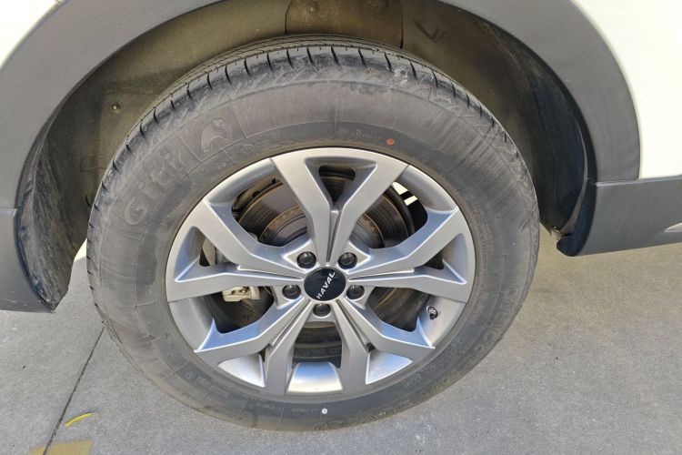 哈弗H6 2021款 国潮版 1.5T 自动冠军版车身外观6008