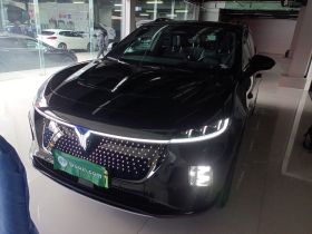 岚图汽车 岚图知音 2024款 四驱全球版