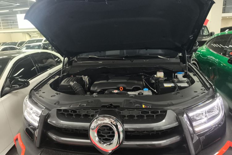 长城 炮 2022款 2.0T黑弹特别版GW4C20B局部细节24