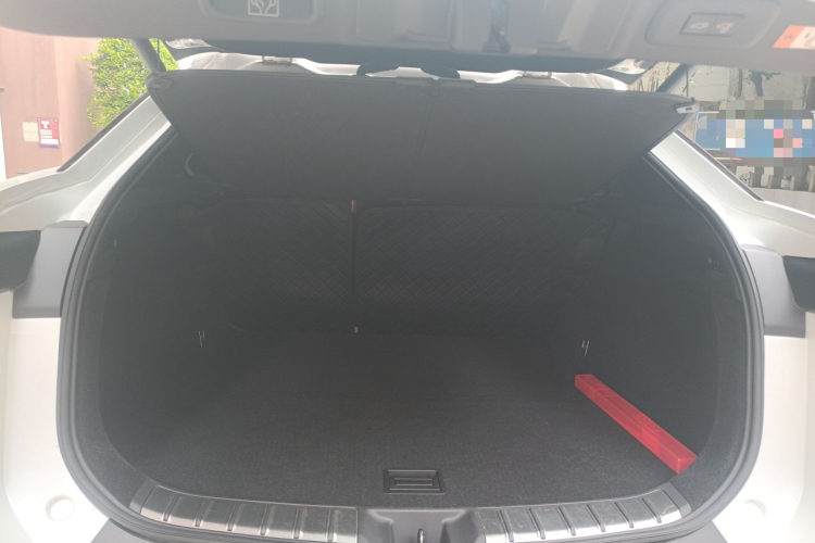 雷克萨斯RZ 2023款 450e 四驱纵享版中控内饰23