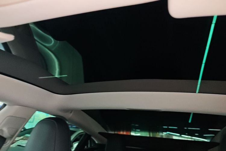 特斯拉 Model 3 2021款 改款 标准续航后驱升级版 3D1局部细节22