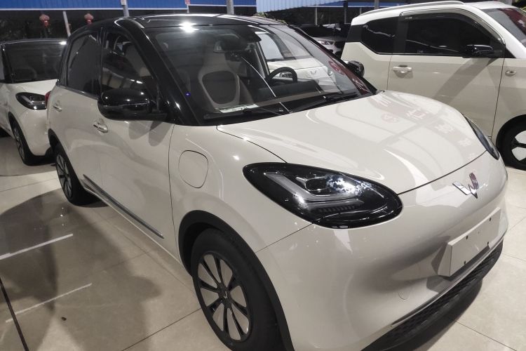 五菱汽车 五菱缤果 2023款 333km 灵犀互联款车身外观6002