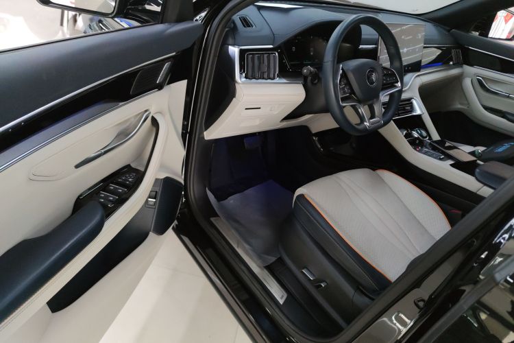 比亚迪 宋PLUS新能源 2021款 EV 旗舰型中控内饰20