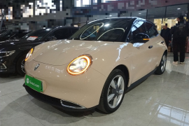 欧拉好猫 2021款 400km标准续航 维纳斯版 三元锂