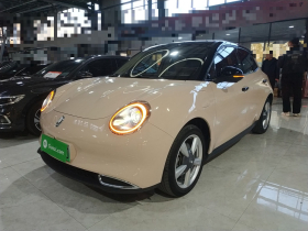 欧拉好猫 2021款 400km标准续航 维纳斯版 三元锂