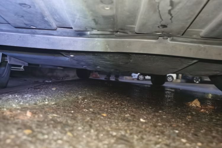 福特 福克斯 2017款 1.5T CTCC 白黑限量版局部细节9008