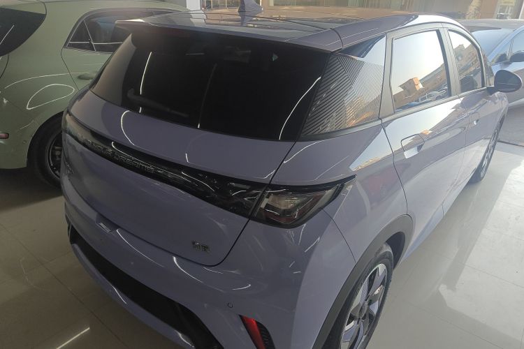 比亚迪 海豚 2024款 荣耀版 420km 时尚版车身外观6002