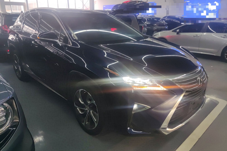 雷克萨斯RX 2016款 300 四驱典雅版 国V车身外观6002