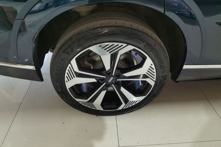 魏牌 蓝山 2025款 四驱 Max车身外观6006