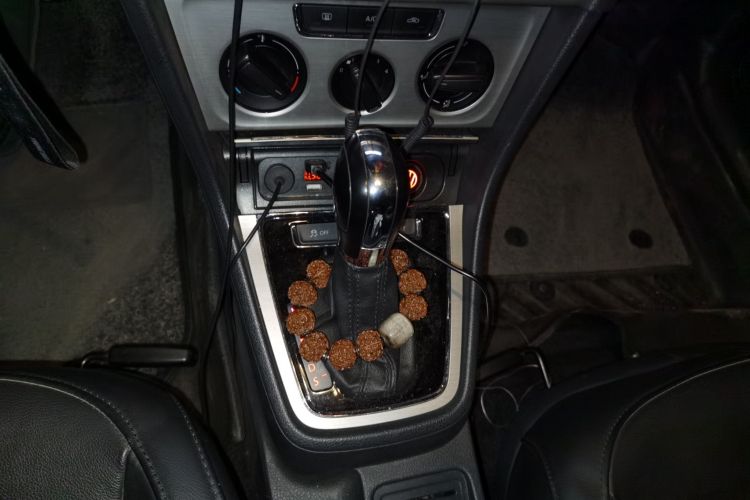 大众 朗逸 2013款 改款经典 1.6L 自动舒适版中控内饰18