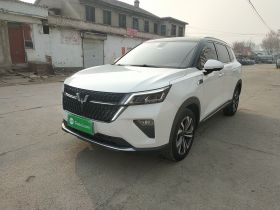 五菱汽车 五菱星辰 2021款 1.5T CVT星曜版