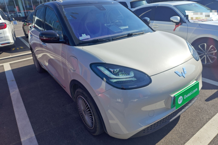 五菱汽车 五菱缤果 2023款 203km 舒享款车身外观3