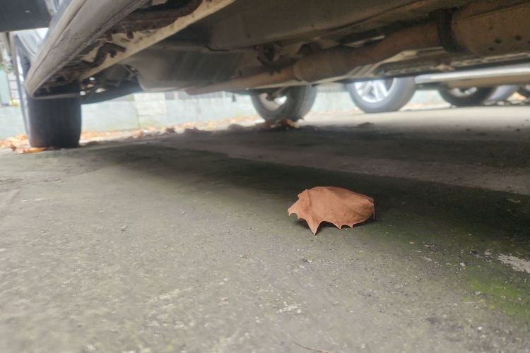 起亚 狮跑 2013款 2.0L 手动两驱版GL局部细节9001