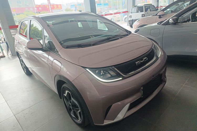 比亚迪 海豚 2021款 405km 时尚版车身外观6001