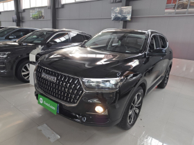 哈弗H6 2023款 国潮版 1.5T 自动冠军版